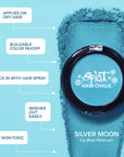 Silver Moon: Silver Hair Chalk