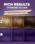 Midnight Tanzanite No Bleach Dark Purple Semi-Permanent Hair Dye Kit
