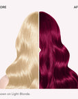 Crimson Obsession: Original Crimson Semi-Permanent Hair Dye Complete Kit with Bleach