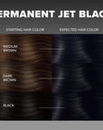 Jet Black Permanent Hair Dye Complete Kit