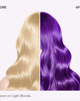 Lusty Lavender: Original Lavender Semi-Permanent Hair Dye Complete Kit with Bleach