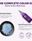 Lusty Lavender: Original Lavender Semi-Permanent Hair Dye Complete Kit with Bleach