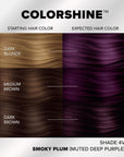 Splat ColorShine Demi-Permanent Hair Color: 4V Smoky Plum