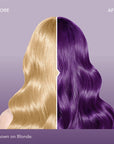 Midnight Violet No Bleach Violet Semi-Permanent Hair Dye Kit