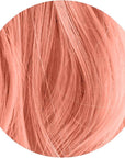 Peach Fuzz: Peach Semi Permanent Hair Dye