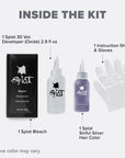 Sinful Silver: Original Silver Semi-Permanent Hair Dye Complete Kit with Bleach