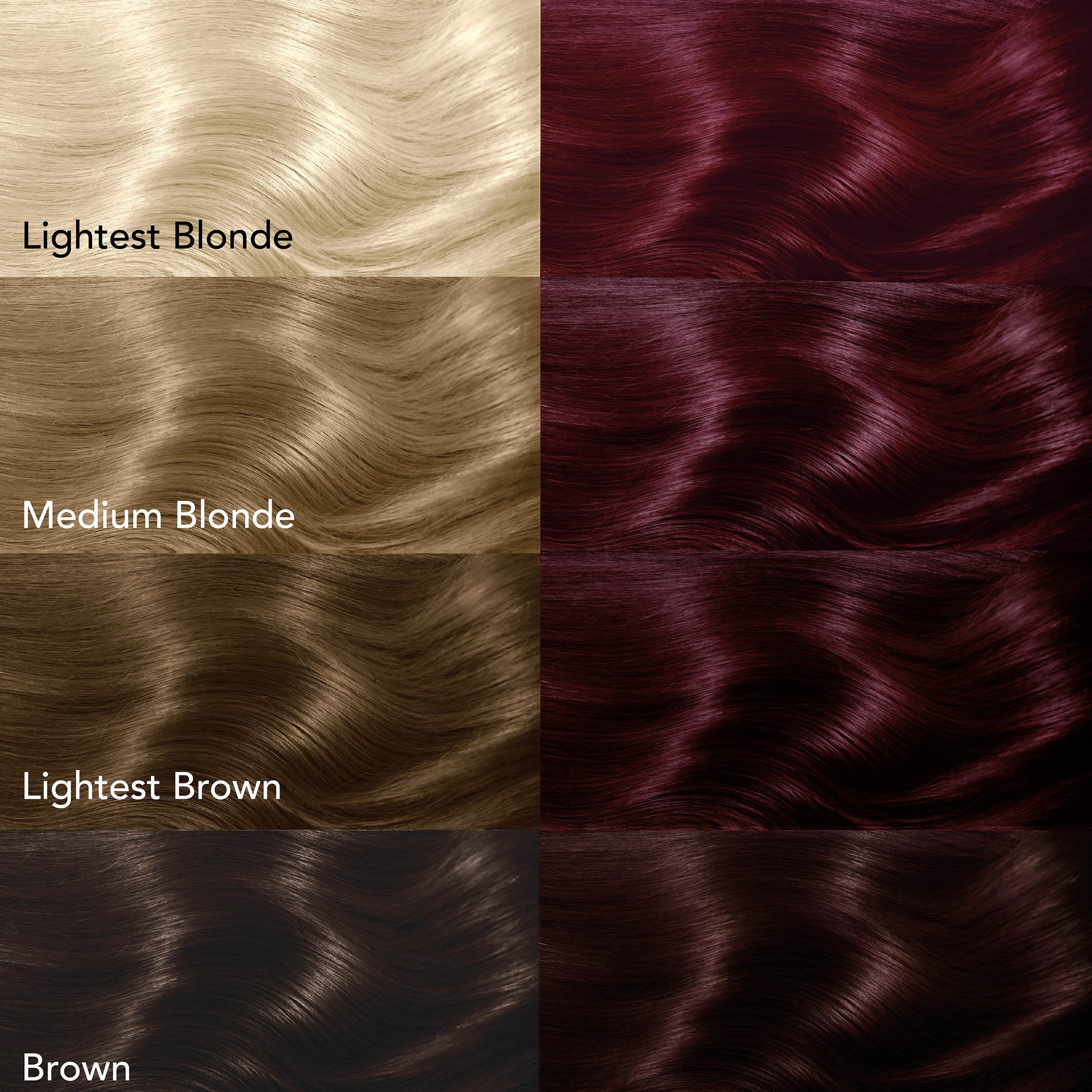 Midnight Claret No Bleach Burgundy (Claret) Semi-Permanent Hair Dye Kit