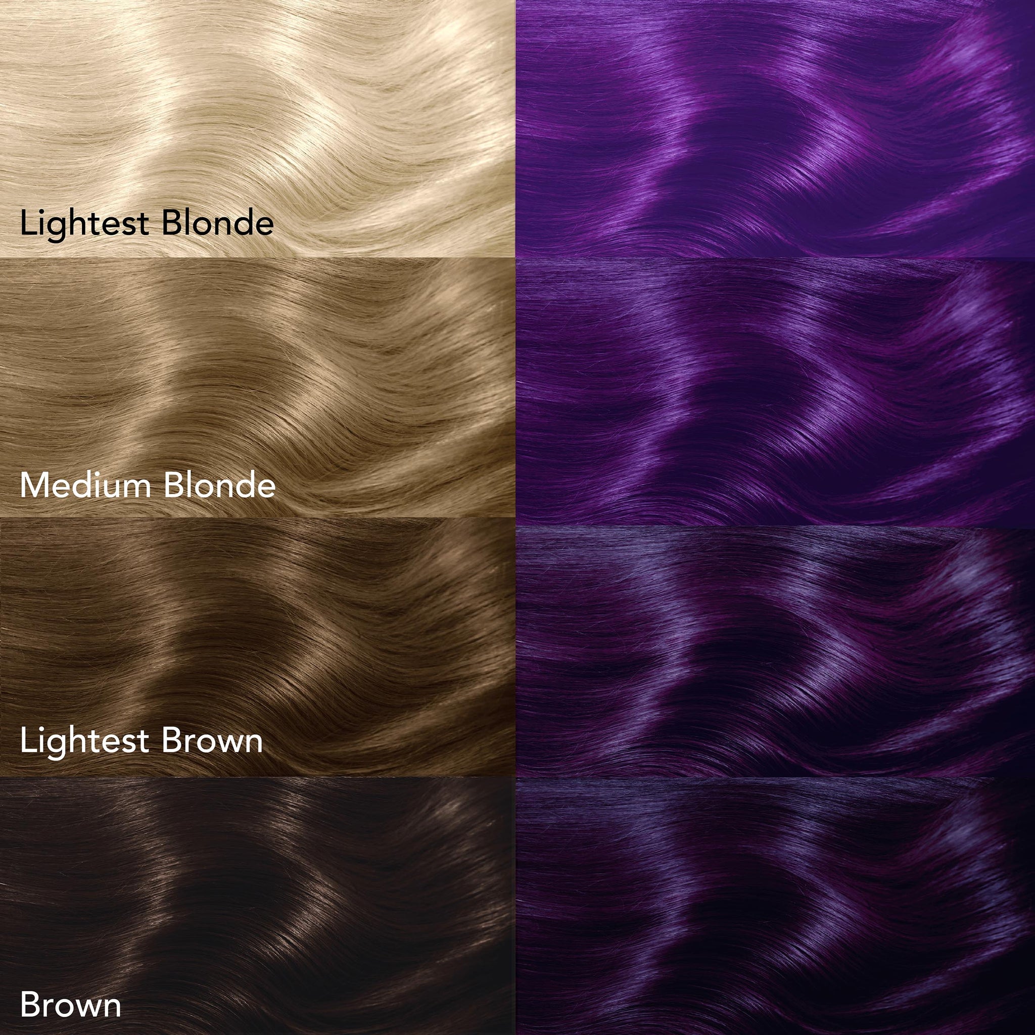 Midnight Tanzanite No Bleach Dark Purple Semi-Permanent Hair Dye Kit