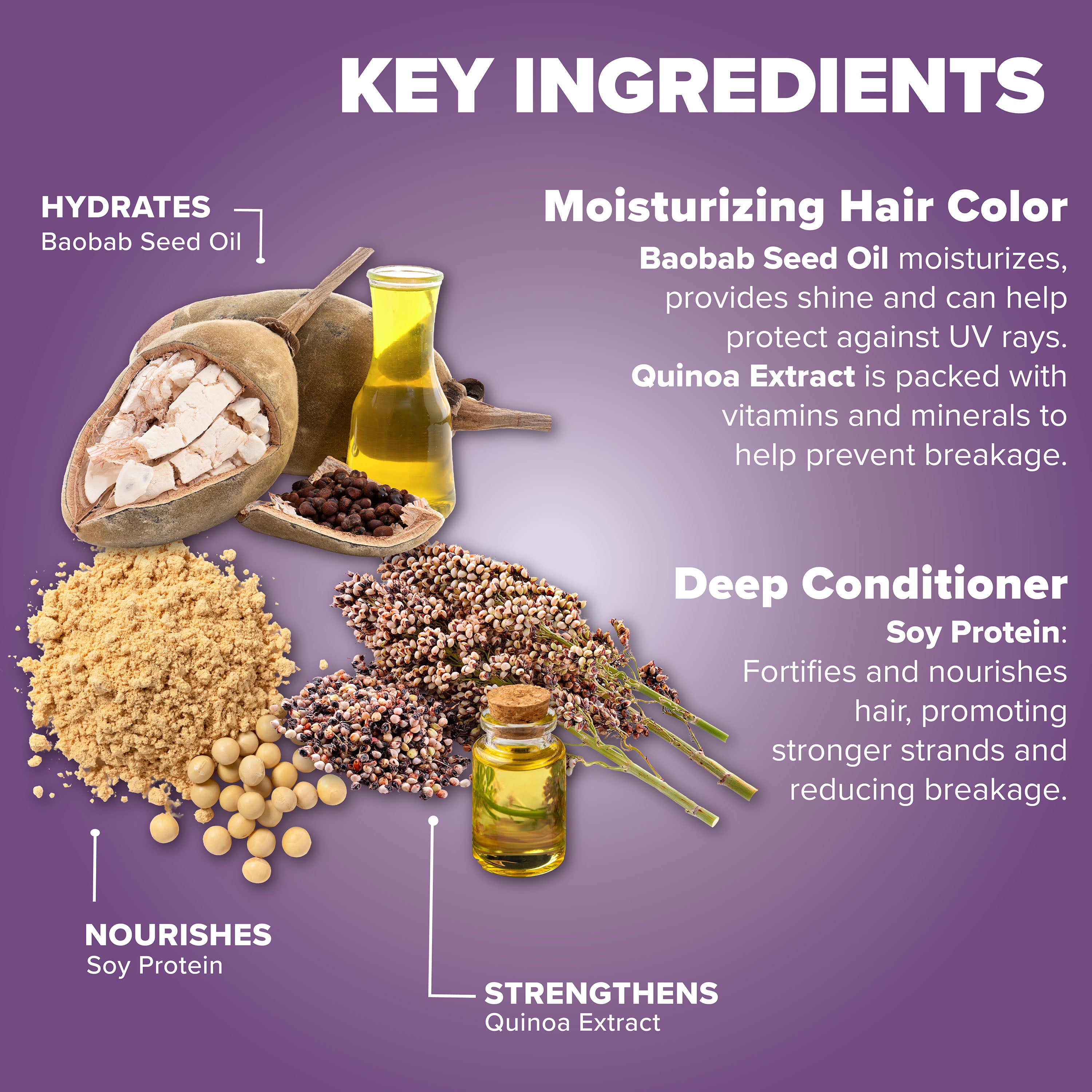 Midnight Violet No Bleach Violet Semi-Permanent Hair Dye Kit