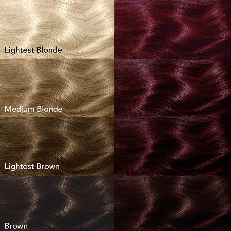Midnight Claret No Bleach Burgundy (Claret) Semi-Permanent Hair Dye Kit