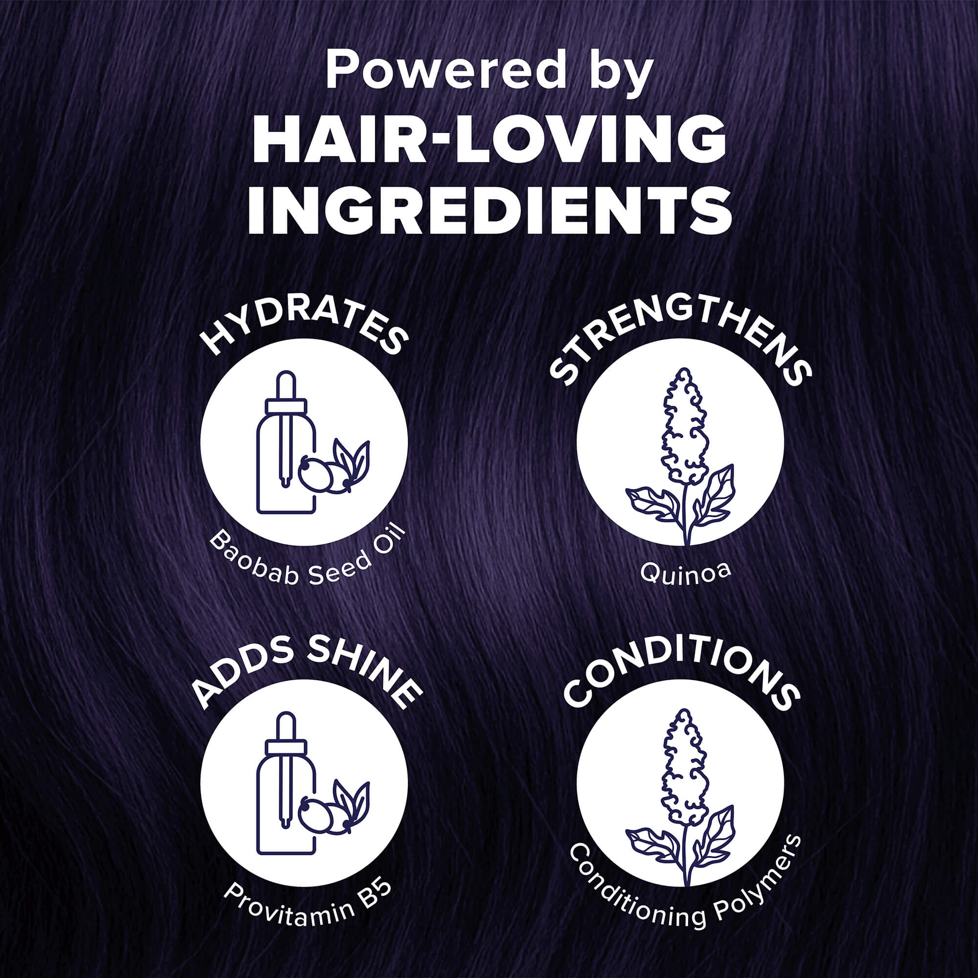 Midnight Amethyst No Bleach Purple Semi-Permanent Hair Dye Kit