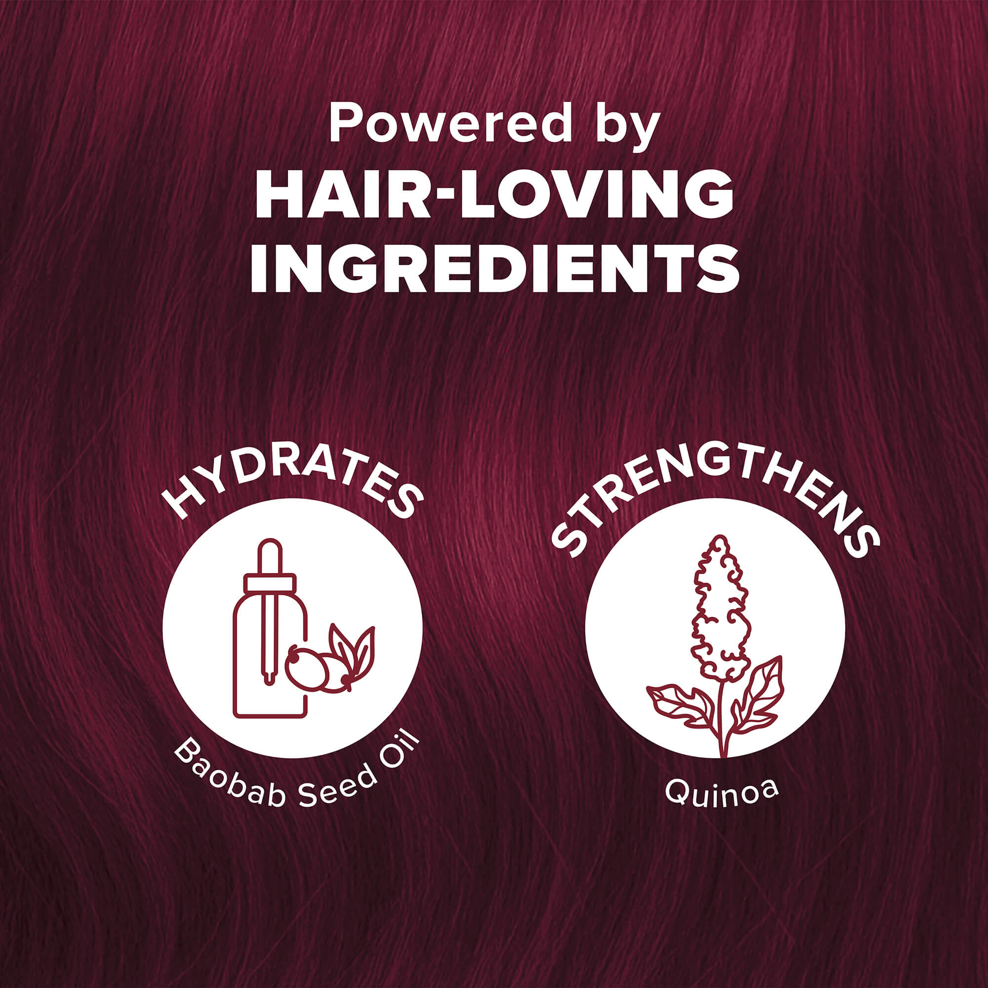 Crimson Obsession: Original Crimson Semi-Permanent Hair Dye Complete Kit with Bleach