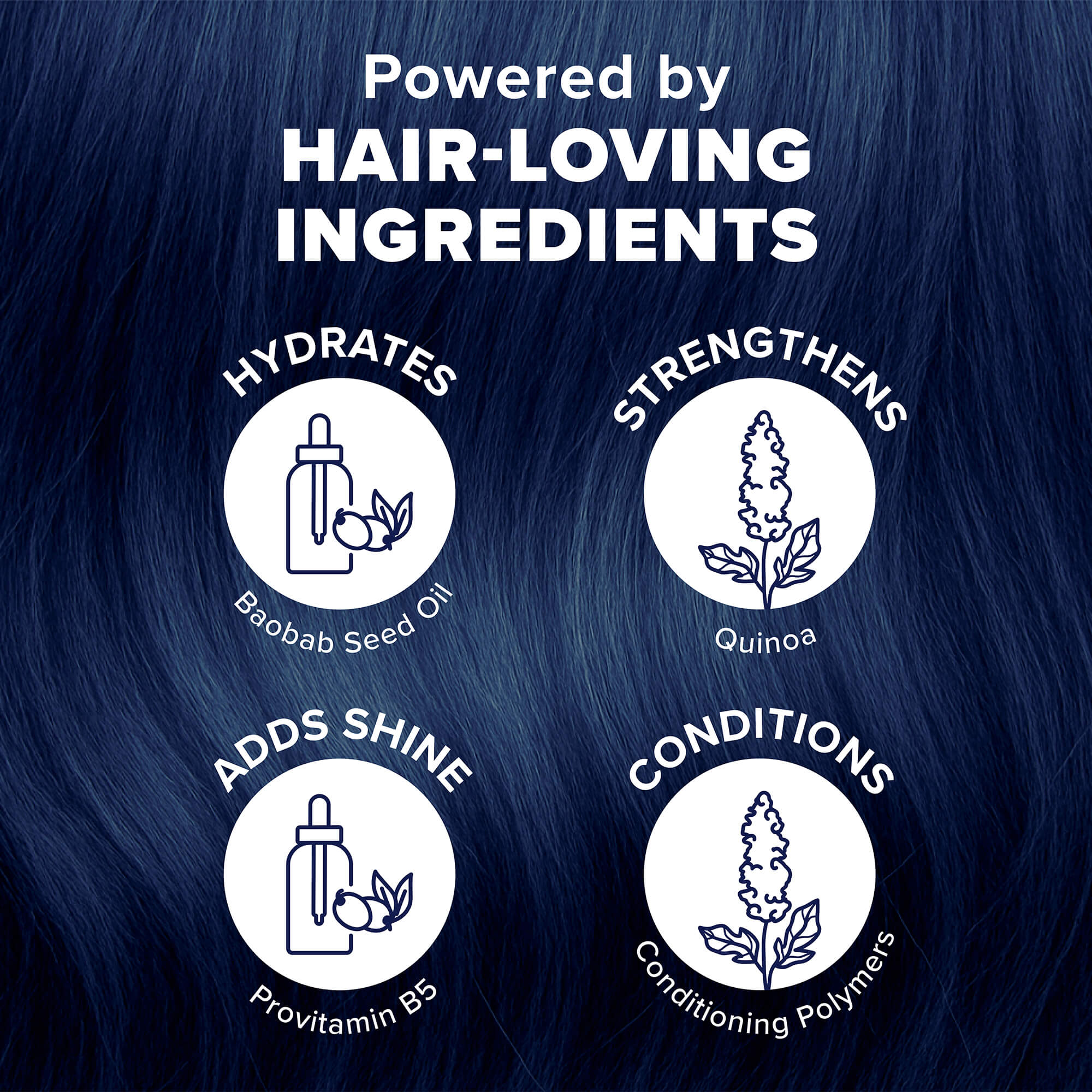 Midnight Indigo No Bleach Purple Semi-Permanent Hair Dye Kit