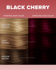 Midnight Black Cherry Semi-Permanent Cherry Red with Violet Mahogany Undertones