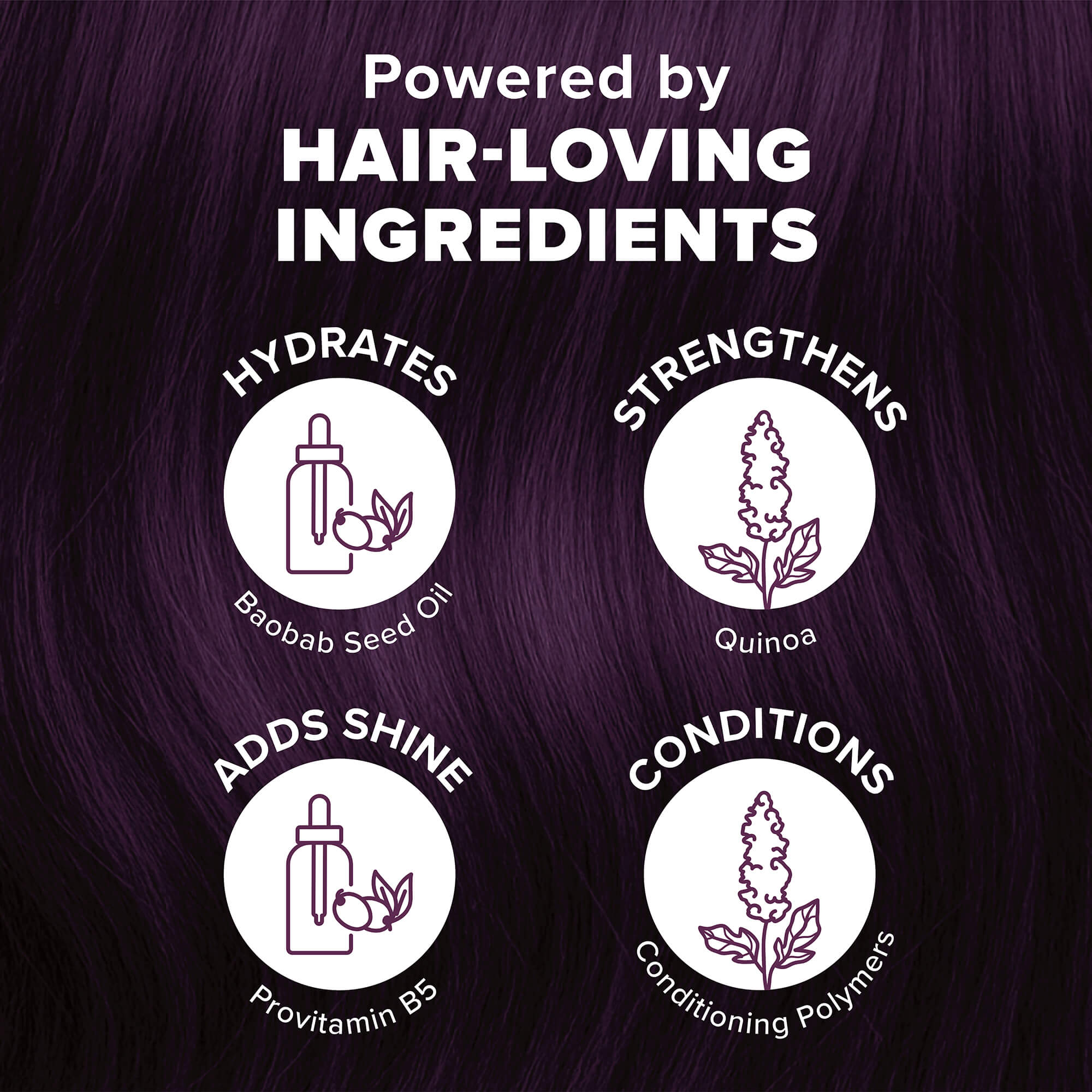 Splat Midnight Plum – Semi Permanent Hair Color