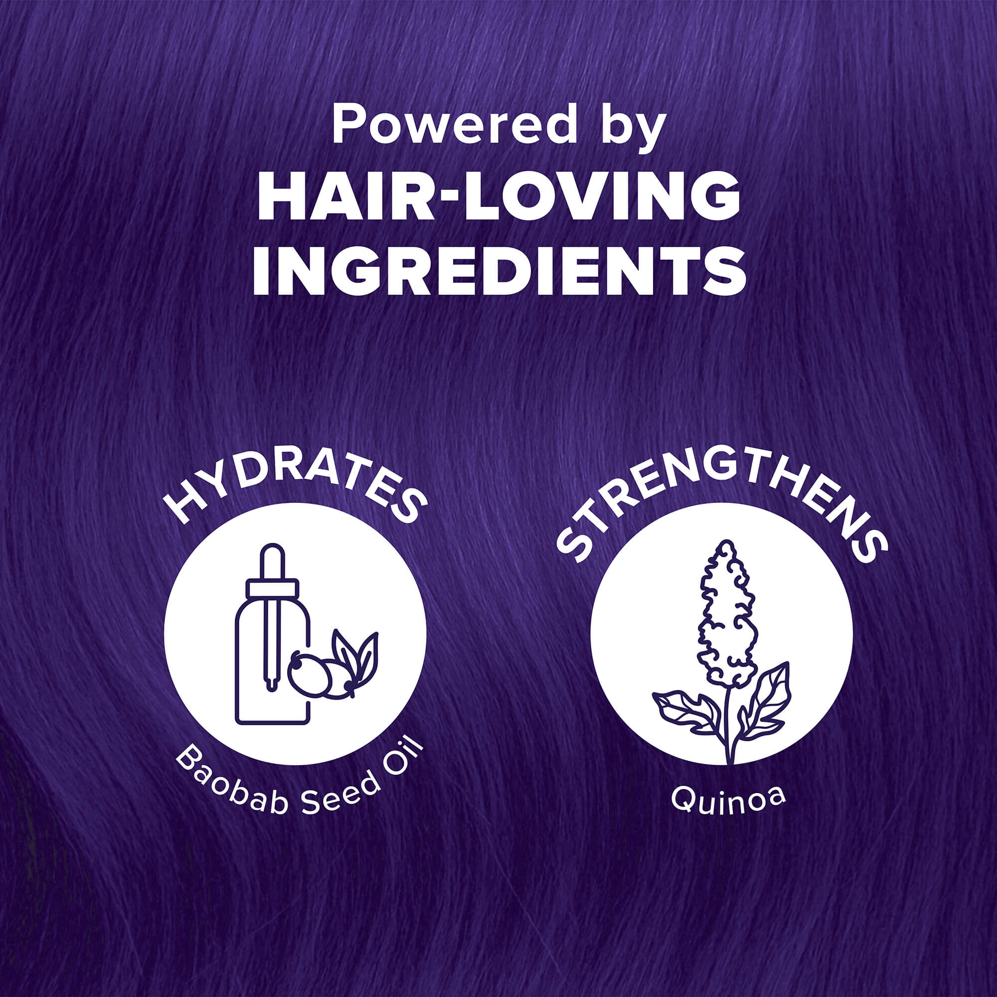 Purple Desire: Original Purple Semi-Permanent Hair Dye Complete Kit with Bleach