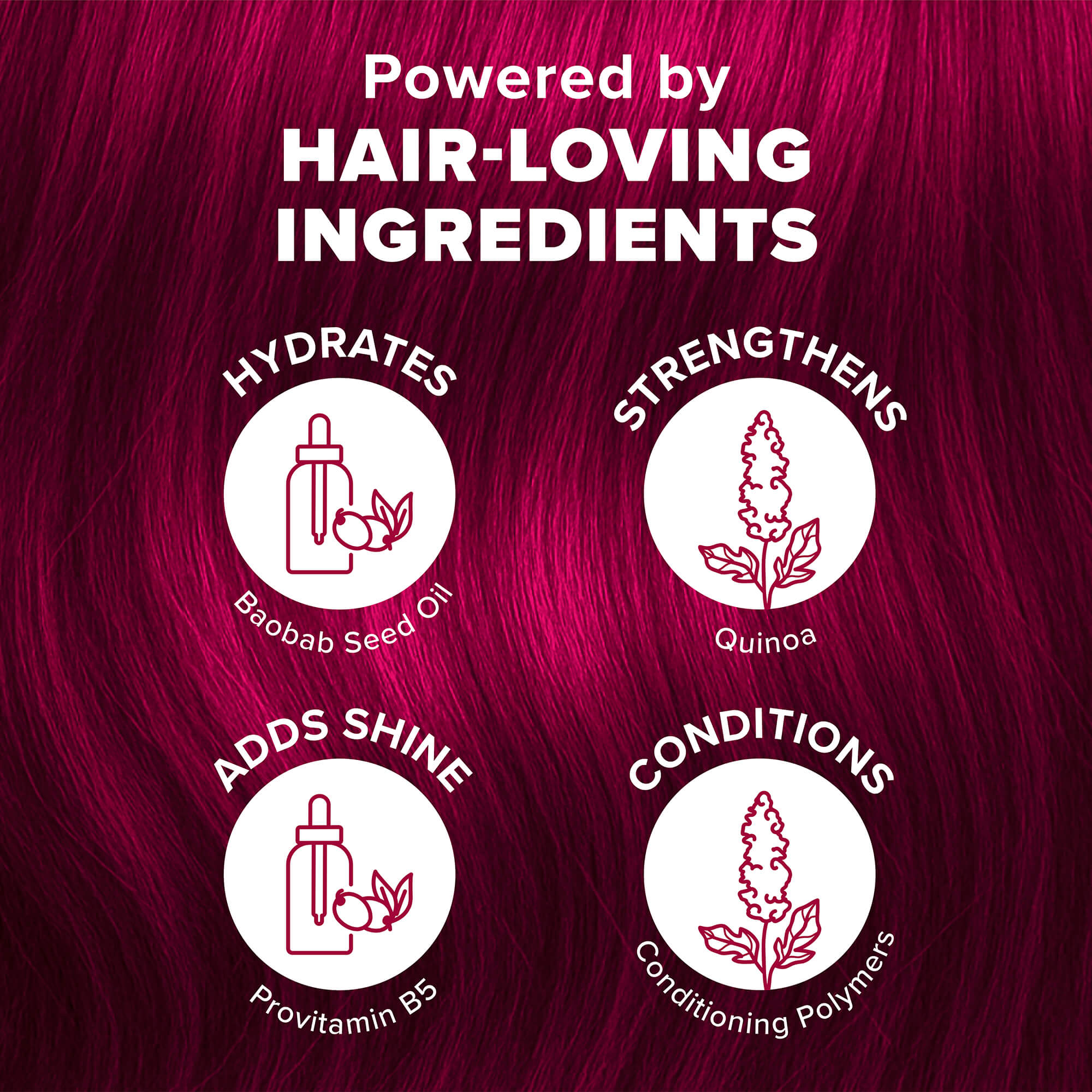 Midnight Ruby No Bleach Dark Red Semi-Permanent Hair Dye Kit