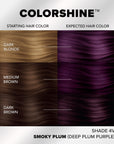 Splat ColorShine Demi-Permanent Hair Color:  4V Smoky Plum