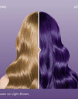 Midnight Tanzanite No Bleach Dark Purple Semi-Permanent Hair Dye Kit