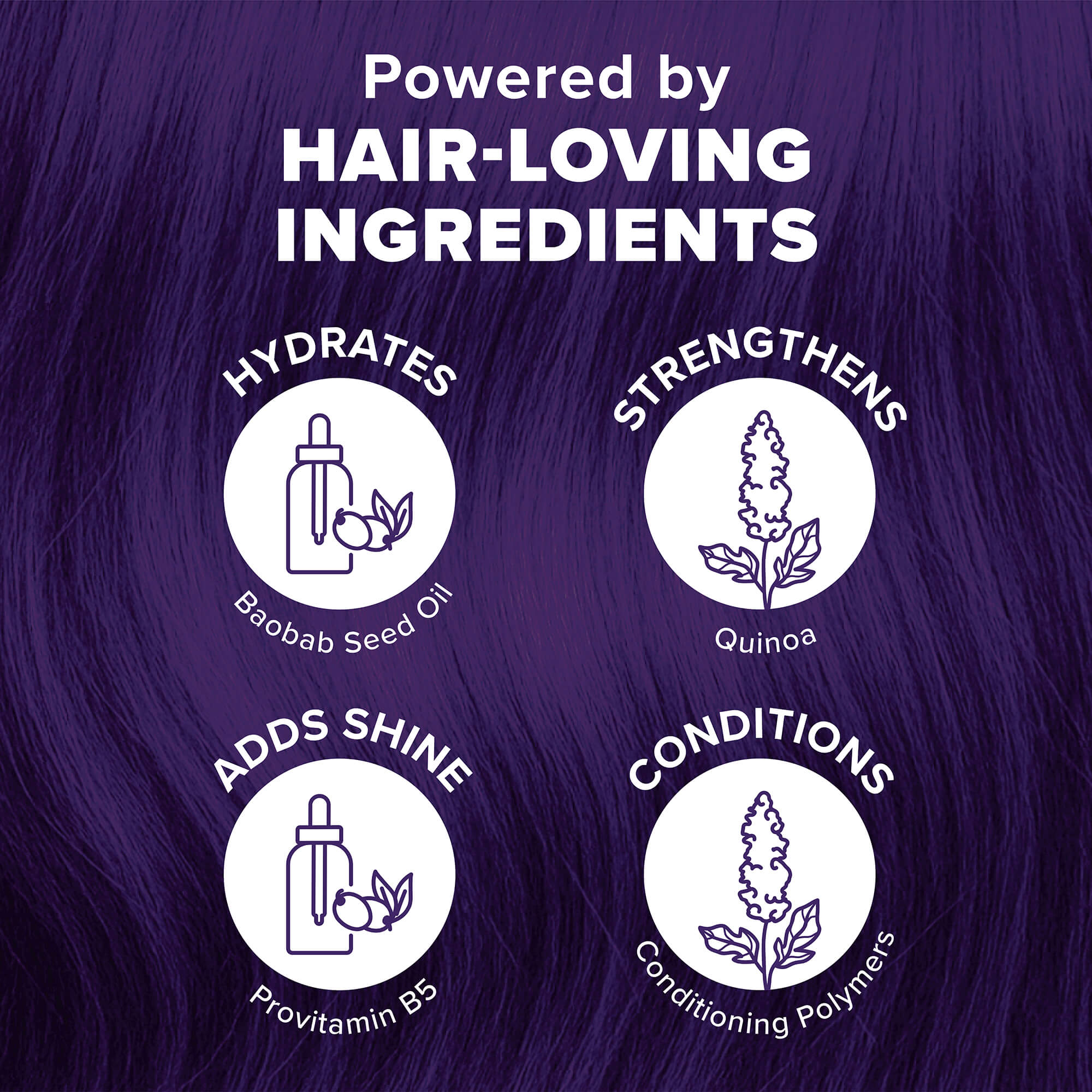 Midnight Tanzanite No Bleach Dark Purple Semi-Permanent Hair Dye Kit