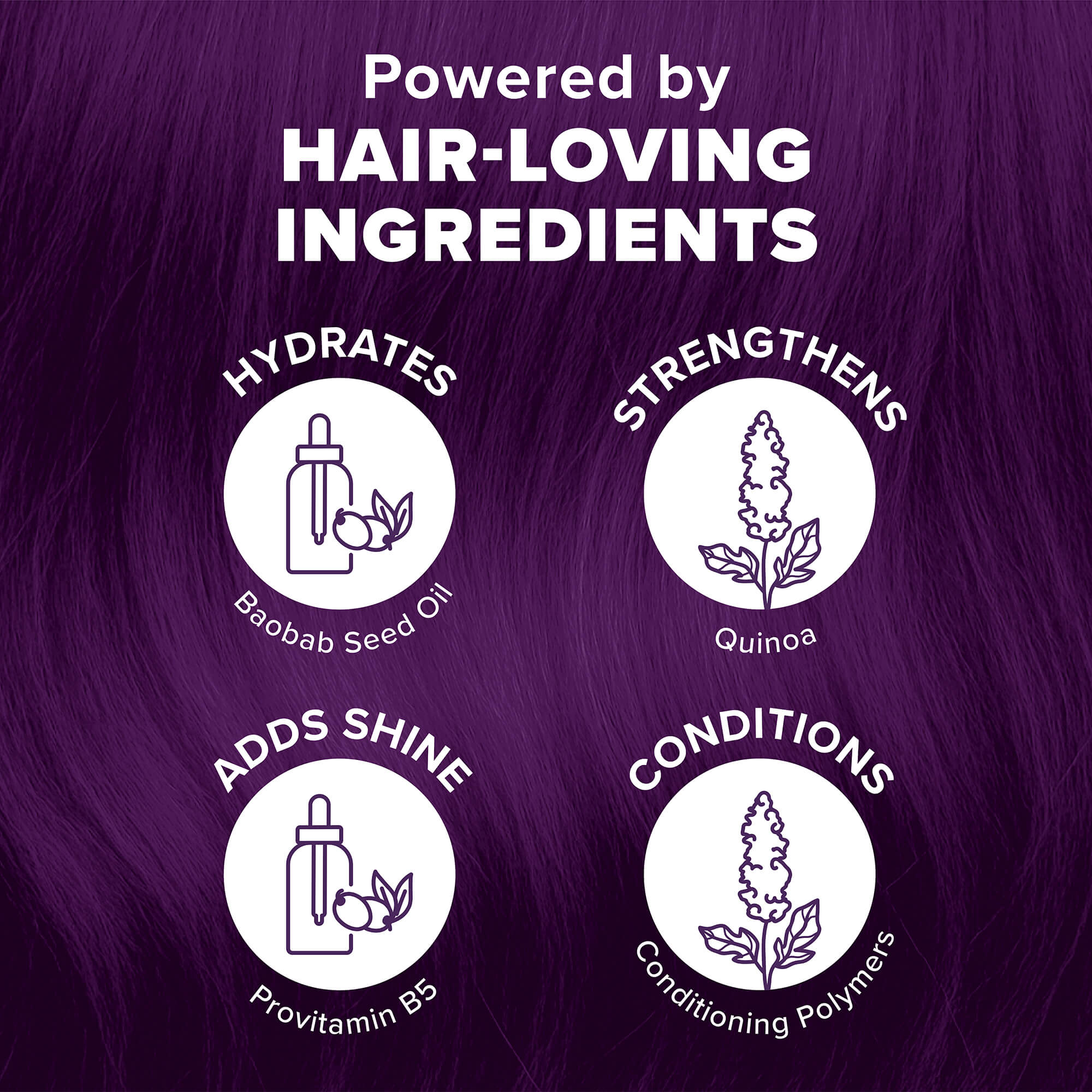 Midnight Violet No Bleach Violet Semi-Permanent Hair Dye Kit