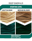 Deep Emerald CK &   Lightening Bleach Bundle