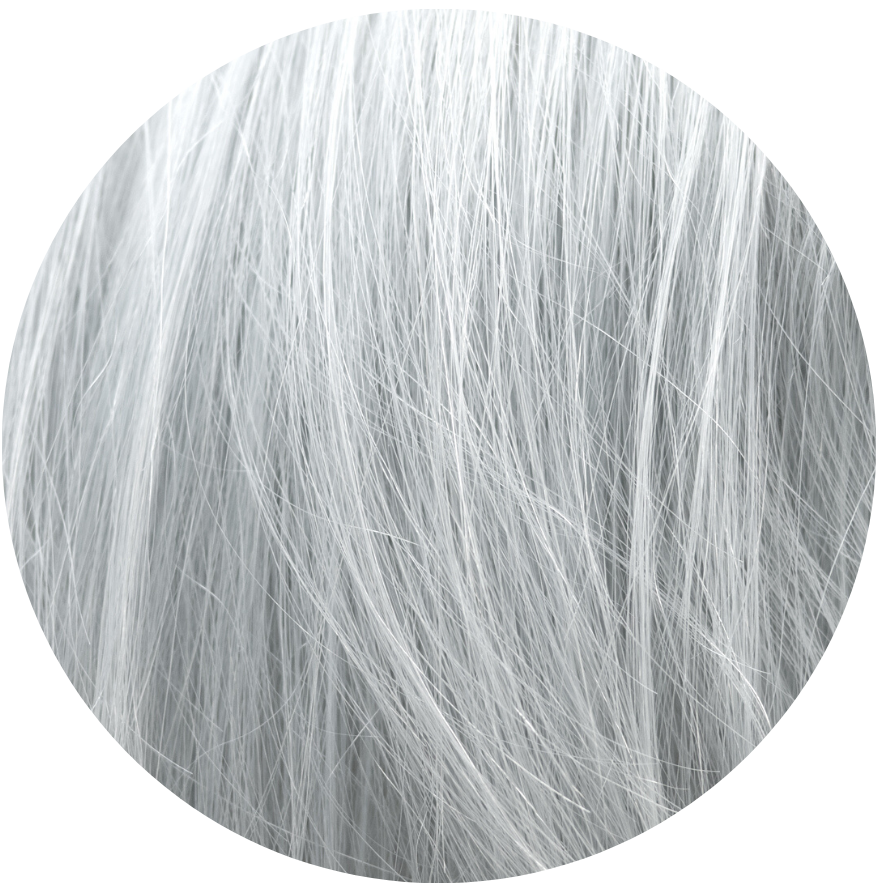 Sinful Silver: Original Silver Semi-Permanent Hair Dye Complete Kit with Bleach