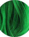  Swatch of Eclectic Green: Green One-Wash Temporary Hair Dye
