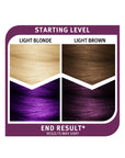 Midnight Purple Jasper No Bleach Purple Semi-Permanent Hair Dye Kit