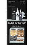 Winter Grey: Original Grey Semi-Permanent Hair Dye Complete Kit with Bleach